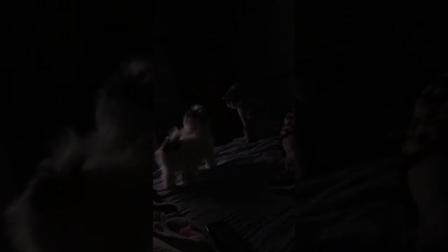 Не беси смотреть онлайн