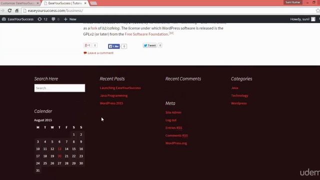 12 Wordpress Widgets смотреть онлайн