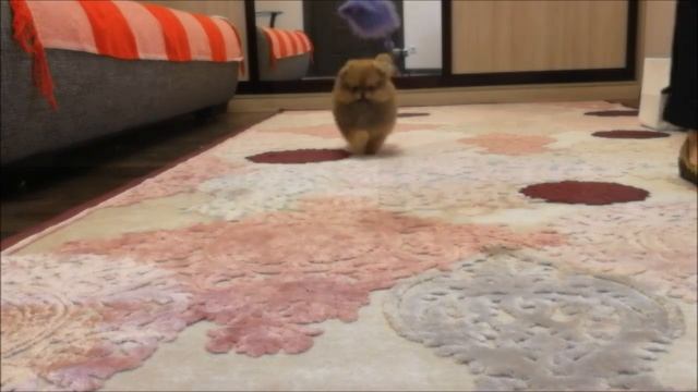 Тоскана смотреть онлайн