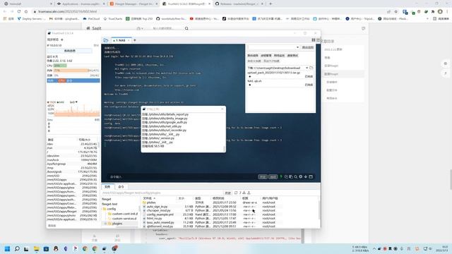 TrueNAS SCALE 安装flexget更加优雅的刷PT смотреть онлайн