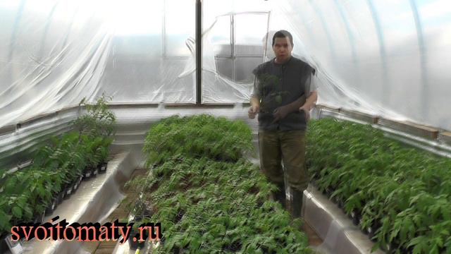 Хорошие условия равно супер рассада смотреть онлайн