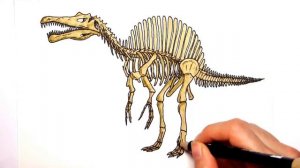 Рисование и раскраски для девочек!  Рисуем динозавров! \\ Творчество для мальчиков!