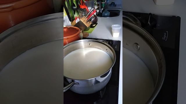 15. Польза молока. Как вскипятить домашнее молоко. #польза_молока #молоко_по_аюрведе смотреть онлайн