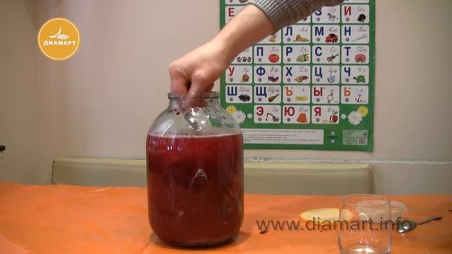 Домашние Животные и Их Уход