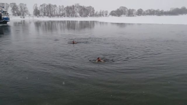Клуб моржей "Павловские тюлени " смотреть онлайн