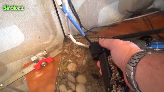 Радужный краб. Содержание и кормление смотреть онлайн