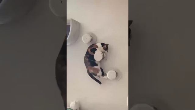 Когда в 30+ лет решил повыпендриваться на турнике смотреть онлайн