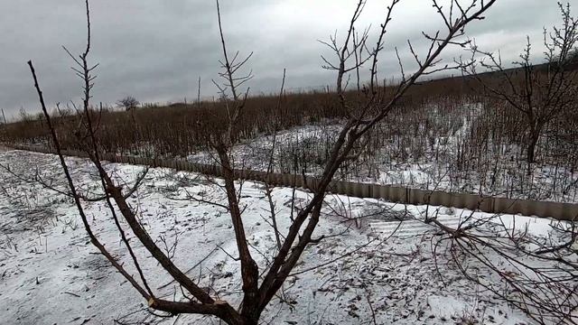 Обрезка абрикоса (7-10лет) весной. Переход на чашу. смотреть онлайн