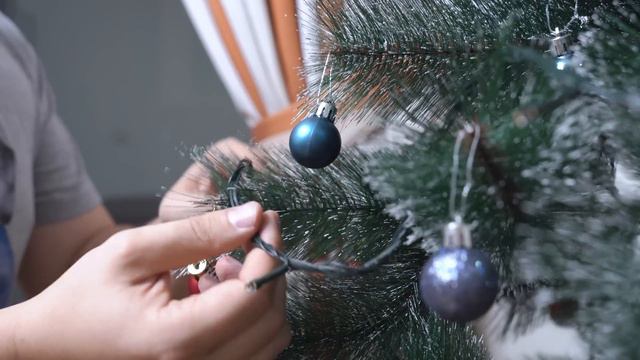 Just 5 mins before Christmas! Cute & funny dachshund dog video! смотреть онлайн