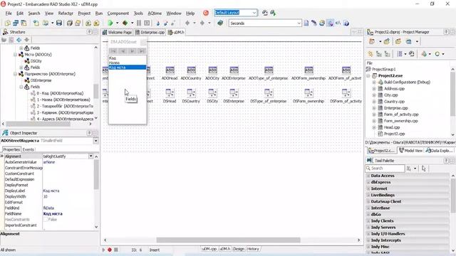 Embarcadero RAD Studio. Создание дружественного интерфейса с помощью объектов-полей в технологии AD