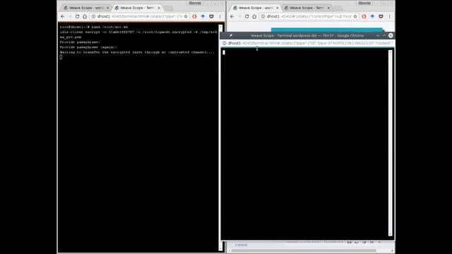Isolation in Docker through Layer Encryption (IDLE): on-the-move demonstration смотреть онлайн