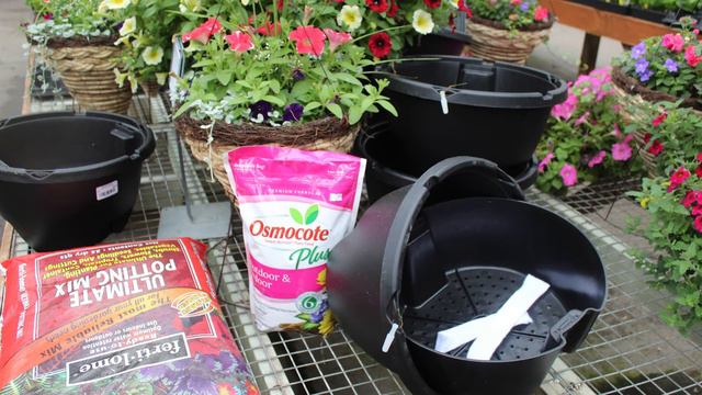 Weekender Hanging Basket