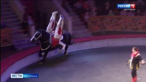 Костромичей приглашают в цирк на новогоднюю программу «Сердце дракона»