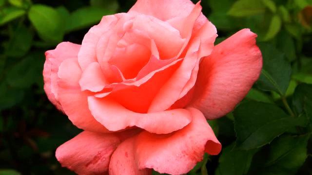 Слушать новую русскую музыку в машину - класс! смотреть онлайн