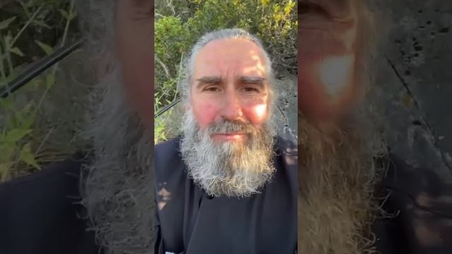 О снах, благодати и любви к себе. Запись прямого эфира от 02.06.22. Монах Андроник. Афон смотреть онлайн