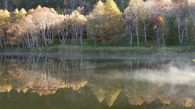 Francis Goya - One Morning Sunday (romantic guitar) смотреть онлайн