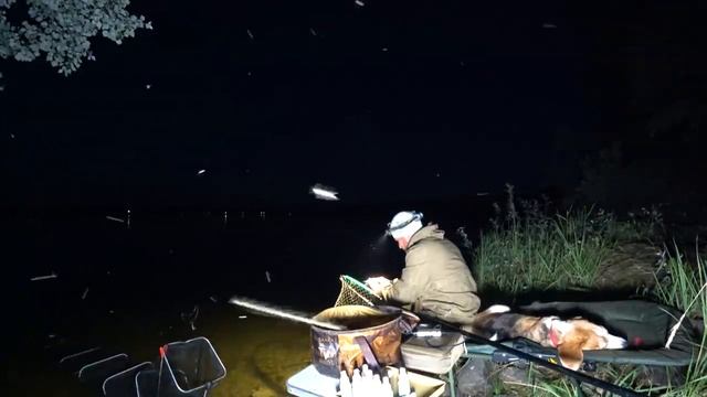Рыбалка С Ночёвкой! Двое Суток В Красивом Месте. Ночная Ловля!Часть 2..mp4 смотреть онлайн