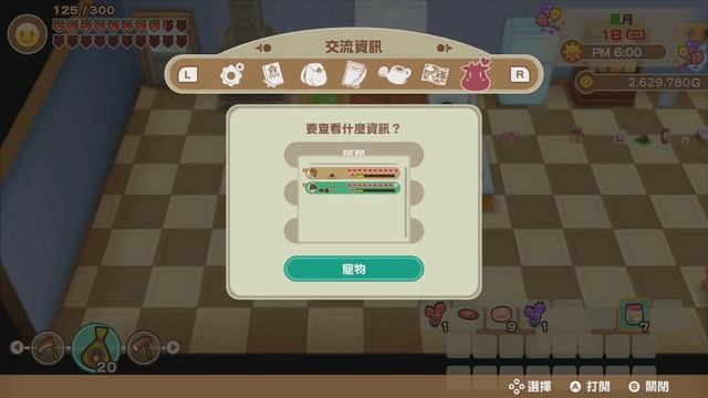 Story of Seasons Friends Of Mineral Town - The Best Pet In Town Won The Sea Festival [English] смотреть онлайн