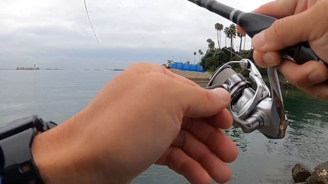 Ep 56 Southern California Long Beach Bonito and Mackerel Fishing 캘리포니아 줄삼치 고등어 루어 낚시 смотреть онлайн