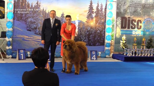 Питомник "Каим Камал" г. Арсеньев, Приморский край. смотреть онлайн