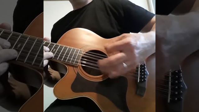 Tanglewood TW145SC/12 смотреть онлайн