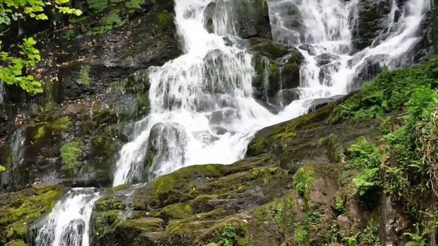 [Música Para Relaxar] Violoncelo E A Cachoeira - Cello And Waterfall Music To Relax