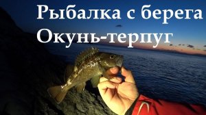 Рыбалка на терпуга. Рыбалка с берега. Rock Fishing.