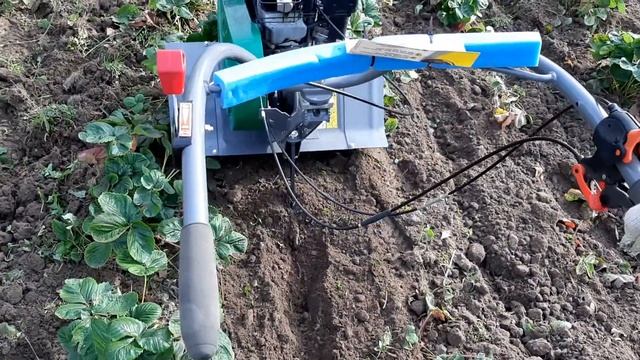 Культиватор Caiman Eco Max 50S C2 смотреть онлайн