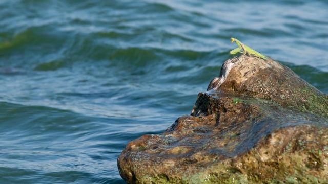 Щедрая Украина / Путешествие на сапе / SUP trip 5 смотреть онлайн