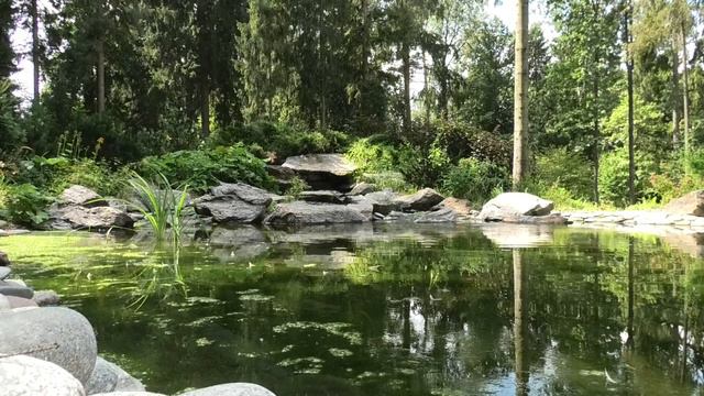 Живая природа