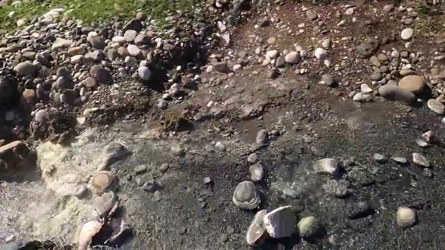 Горячие источники Нокалакеви. Грузия. Гейзер. смотреть онлайн
