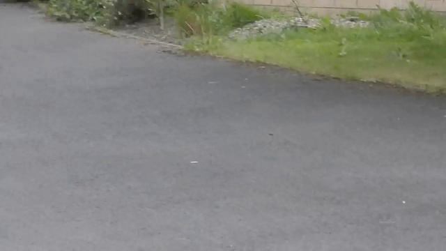 Segway : Hoverboard Segway kart the 10 inch wheel one with blue tooth segway modified смотреть онлайн