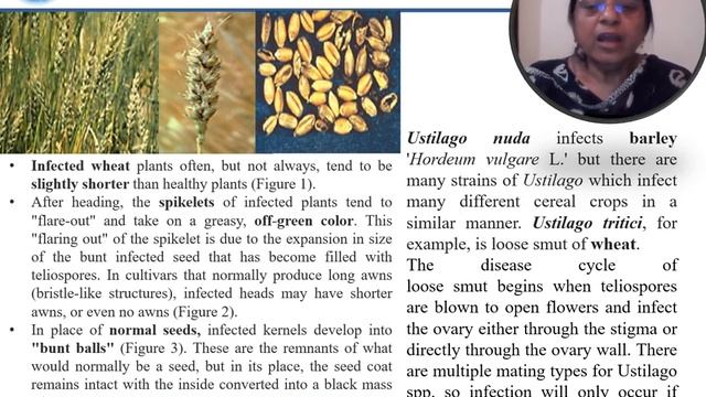 MSc IV Botany - "Plant Diseases due to Fungi" By Dr. Kavita Sharma смотреть онлайн