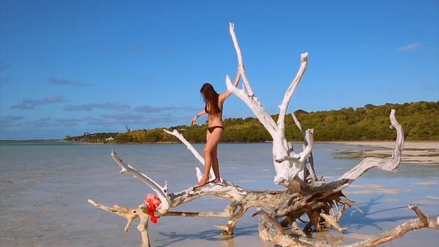 BAHAMAS : Nassau & Harbor Island Amazing things to do! смотреть онлайн