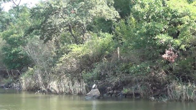 Несебр, Ропотамо, Созополь, осмотр достопримичательностей (Болгария 2014)