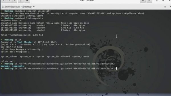 How To Backup And Restore A Cassandra Keyspace In Linux