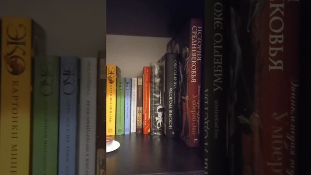 Моя обновленная библиотека на октябрь 2023: 4 шкафа, около 300 книг смотреть онлайн