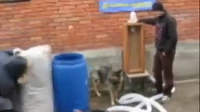 Сухая укладка эковаты тюменской выдувной установкой с ворошителем.