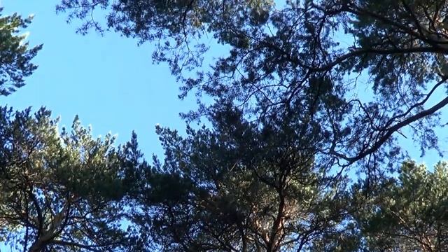 Ходьба и Бег, это не только польза для здоровья, но и смотреть онлайн