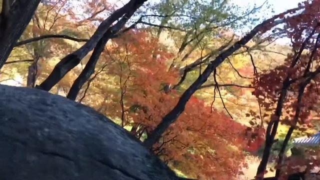Seokguram Grotto is a UNESCO смотреть онлайн