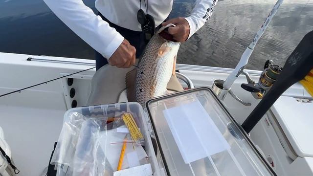 Tag Louisiana смотреть онлайн