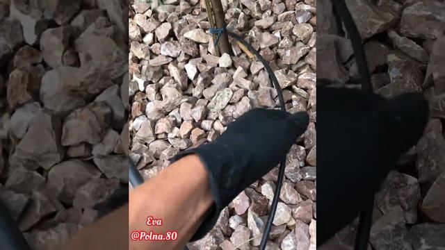 ?КАПЕЛЬНЫЙ ПОЛИВ НА УЧАСТКЕ?СВОИМИ РУКАМИ? смотреть онлайн