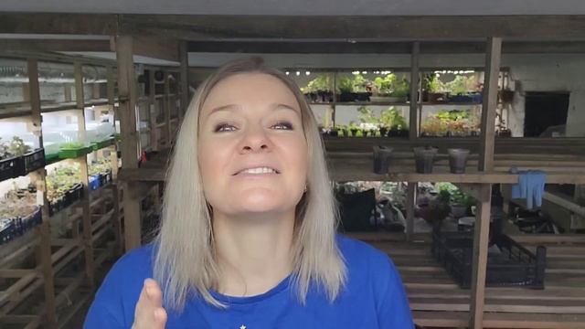 Как вырастить РЕДИС зимой. Редиска на подоконнике, опыт, советы и результат Ани смотреть онлайн