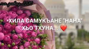 Дала декъал йойл хьо Нана❤?