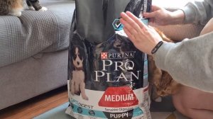 Распаковка — Корм для собак Pro Plan Puppy Medium Sensitive Digestion с ягненком