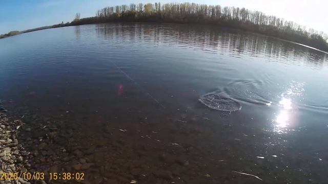 Рыбалка 2020 Осиновое плесо смотреть онлайн