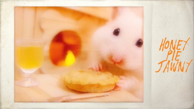 Honey Pie Cover - Jawny