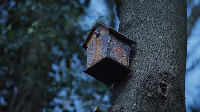 Birdhouse Highlights смотреть онлайн