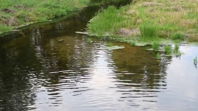 Ах,ручеек. Старинная цыганская песня. исп Г.Погорельская (Кислякова) смотреть онлайн