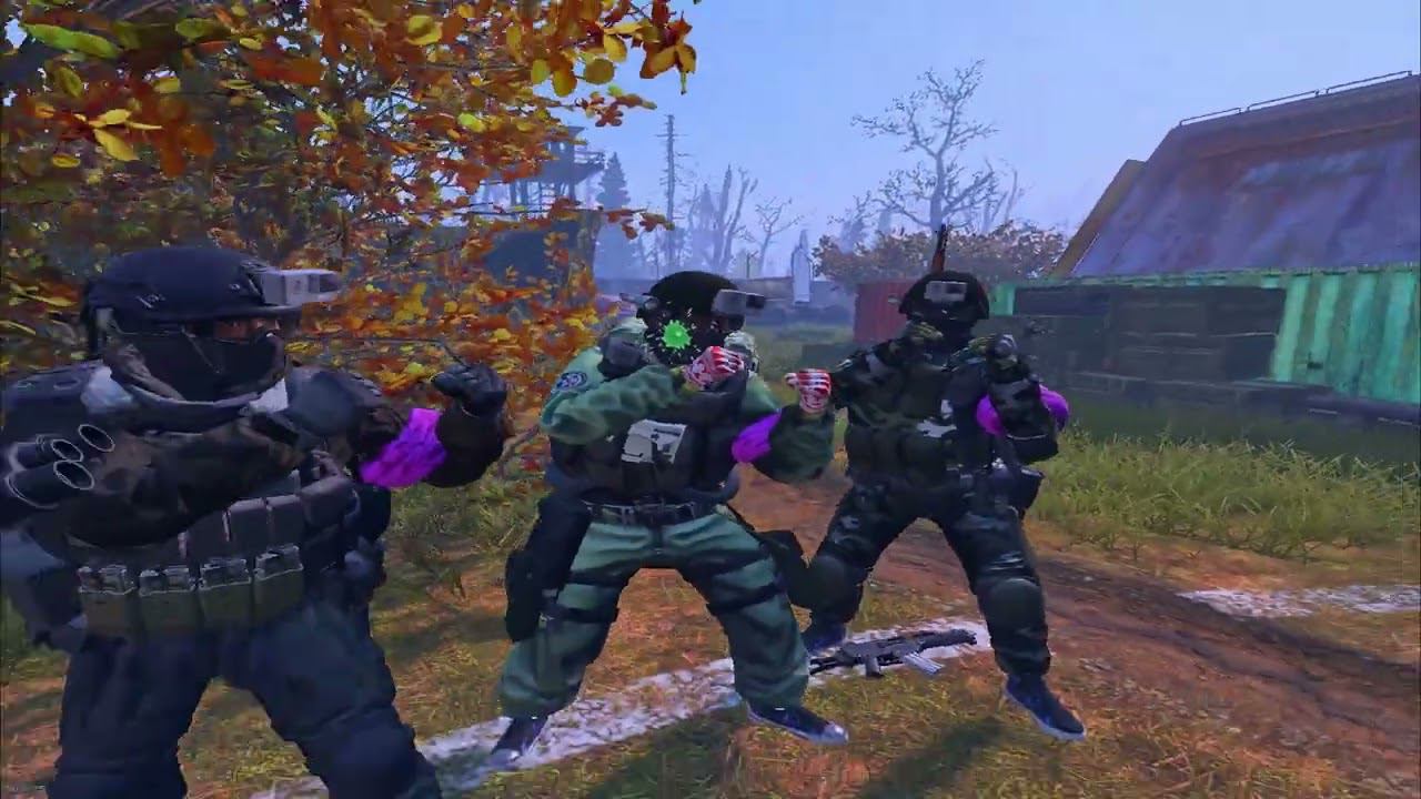 Moi Tigr'y Na Pz Veselyatsa #stalkerrp #dayz #purezone